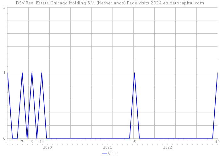DSV Real Estate Chicago Holding B.V. (Netherlands) Page visits 2024 