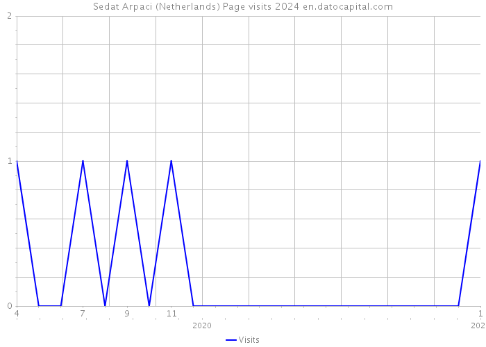 Sedat Arpaci (Netherlands) Page visits 2024 