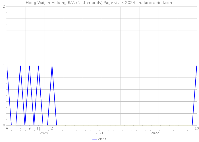 Hoog Waijen Holding B.V. (Netherlands) Page visits 2024 
