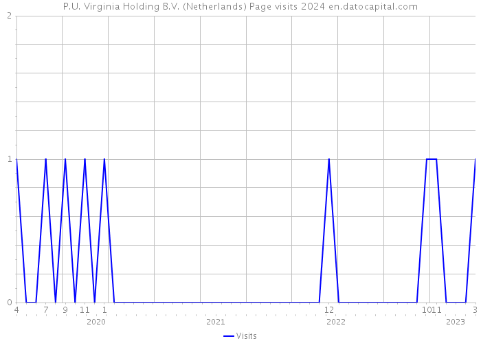 P.U. Virginia Holding B.V. (Netherlands) Page visits 2024 