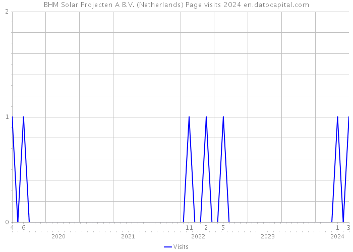 BHM Solar Projecten A B.V. (Netherlands) Page visits 2024 