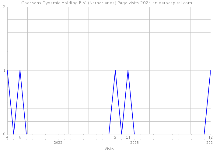 Goossens Dynamic Holding B.V. (Netherlands) Page visits 2024 