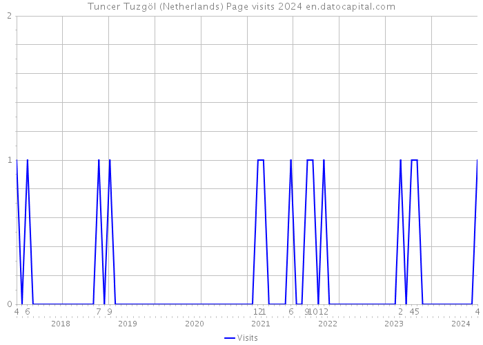 Tuncer Tuzgöl (Netherlands) Page visits 2024 