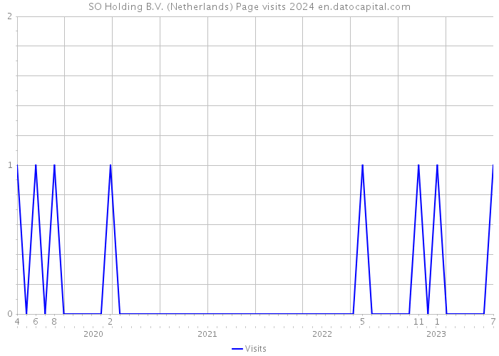 SO Holding B.V. (Netherlands) Page visits 2024 