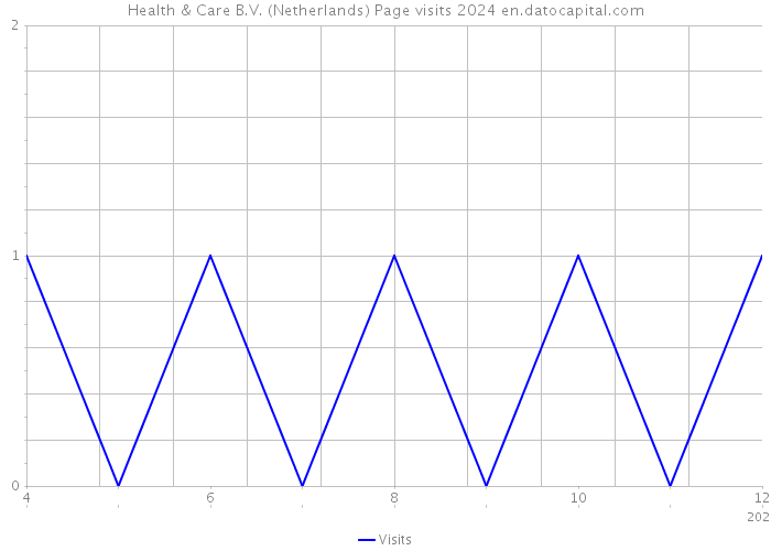 Health & Care B.V. (Netherlands) Page visits 2024 
