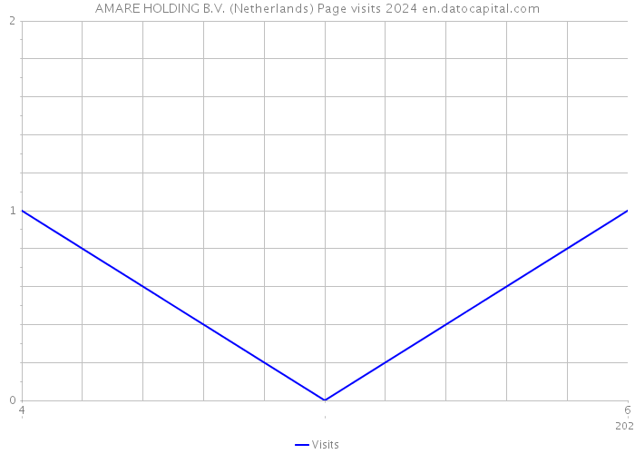 AMARE HOLDING B.V. (Netherlands) Page visits 2024 