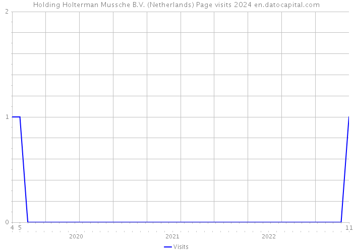 Holding Holterman Mussche B.V. (Netherlands) Page visits 2024 