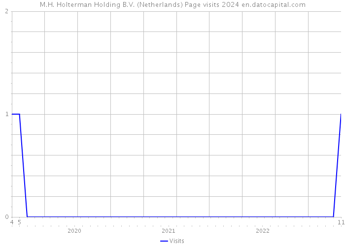 M.H. Holterman Holding B.V. (Netherlands) Page visits 2024 
