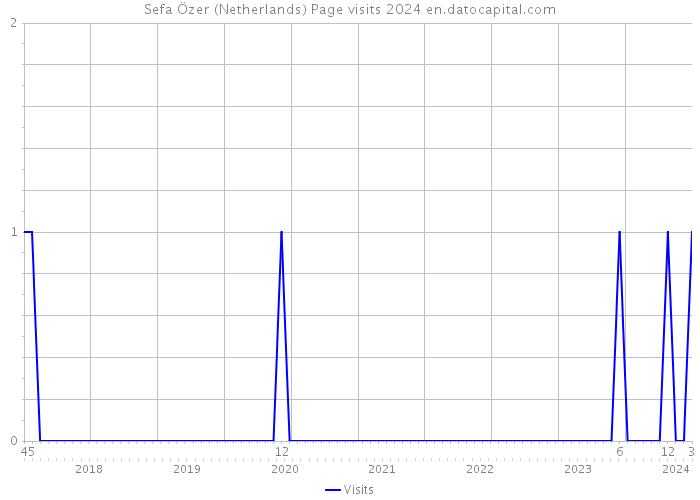 Sefa Özer (Netherlands) Page visits 2024 