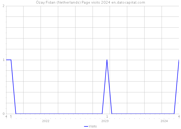 Özay Fidan (Netherlands) Page visits 2024 