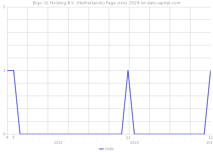 Ergo XL Holding B.V. (Netherlands) Page visits 2024 