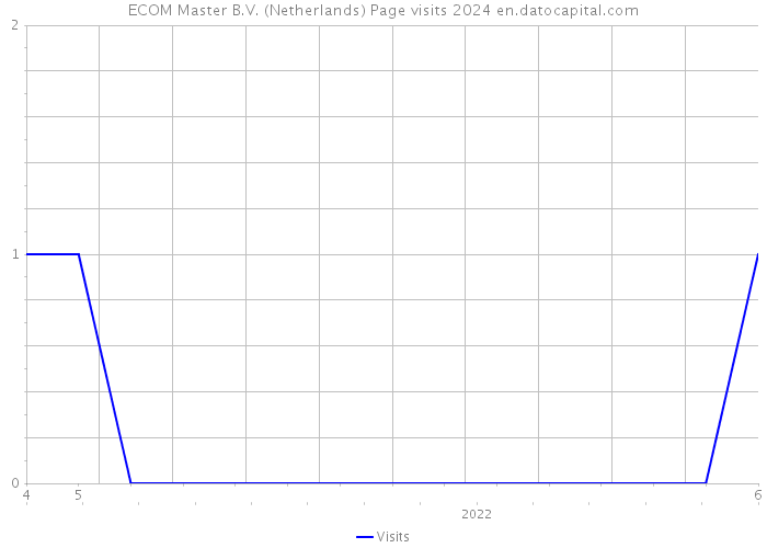 ECOM Master B.V. (Netherlands) Page visits 2024 