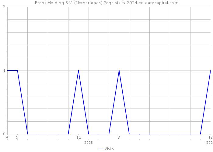 Brans Holding B.V. (Netherlands) Page visits 2024 