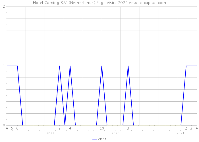 Hotel Gaming B.V. (Netherlands) Page visits 2024 