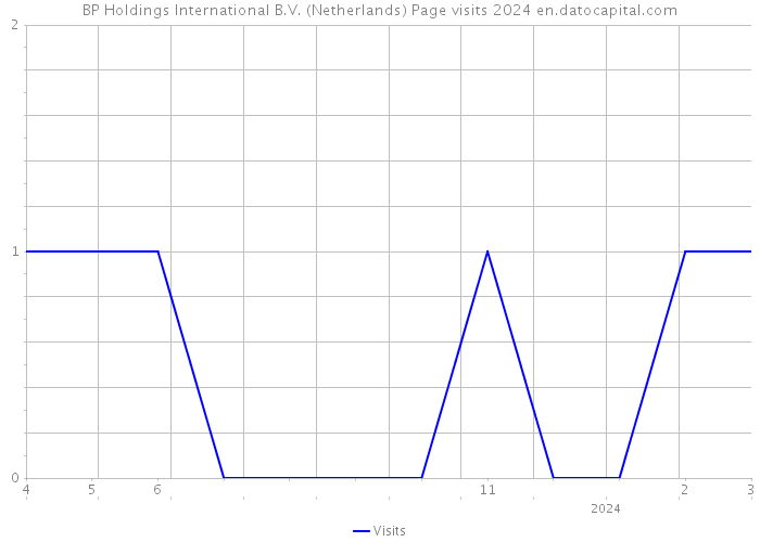 BP Holdings International B.V. (Netherlands) Page visits 2024 