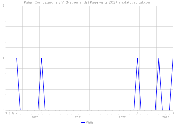 Patijn Compagnons B.V. (Netherlands) Page visits 2024 