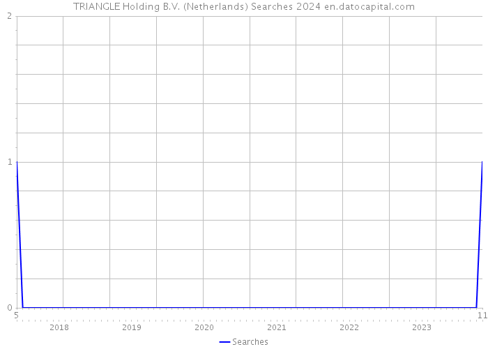 TRIANGLE Holding B.V. (Netherlands) Searches 2024 