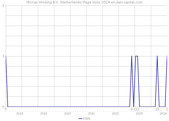 Moirae Holding B.V. (Netherlands) Page visits 2024 