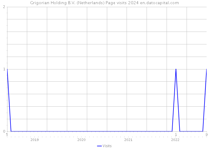 Grigorian Holding B.V. (Netherlands) Page visits 2024 