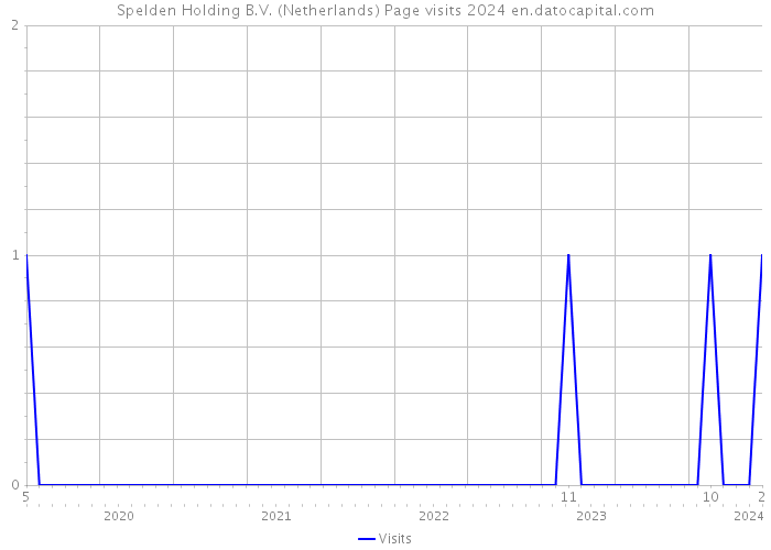 Spelden Holding B.V. (Netherlands) Page visits 2024 