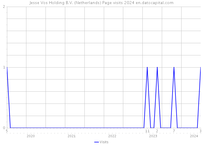 Jesse Vos Holding B.V. (Netherlands) Page visits 2024 
