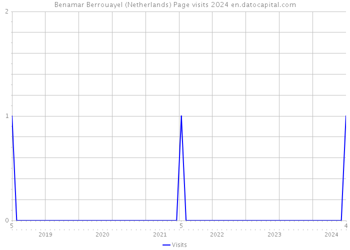 Benamar Berrouayel (Netherlands) Page visits 2024 