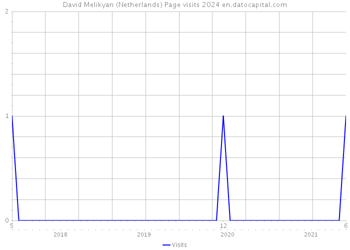 David Melikyan (Netherlands) Page visits 2024 