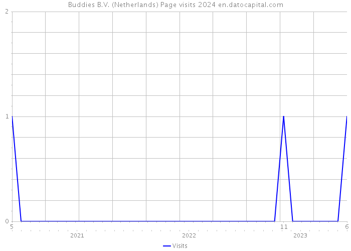 Buddies B.V. (Netherlands) Page visits 2024 