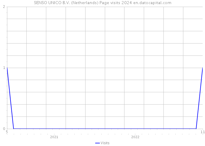 SENSO UNICO B.V. (Netherlands) Page visits 2024 