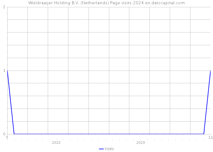 Wieldraaijer Holding B.V. (Netherlands) Page visits 2024 
