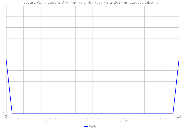 Ladura Participations B.V. (Netherlands) Page visits 2024 