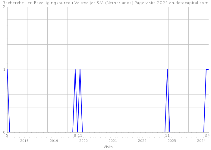 Recherche- en Beveiligingsbureau Veltmeijer B.V. (Netherlands) Page visits 2024 