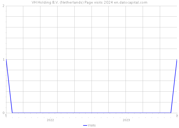 VH Holding B.V. (Netherlands) Page visits 2024 