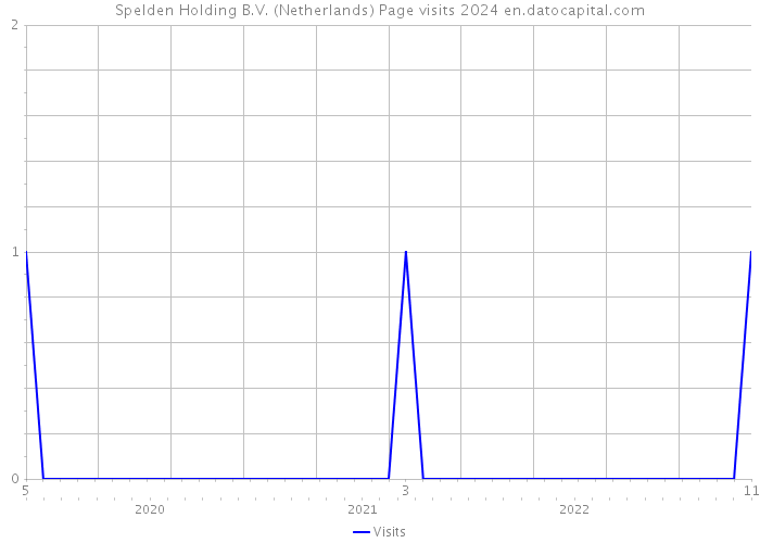 Spelden Holding B.V. (Netherlands) Page visits 2024 