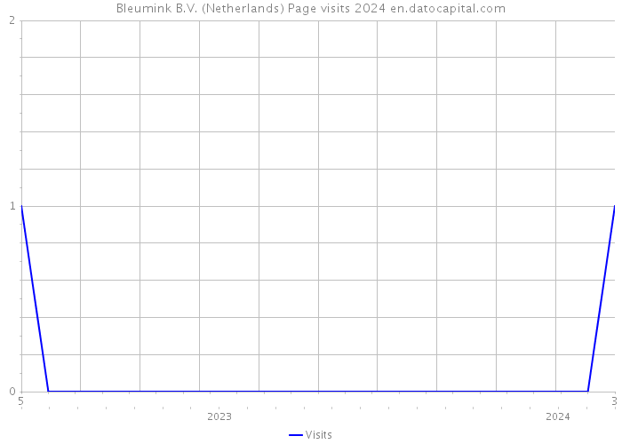Bleumink B.V. (Netherlands) Page visits 2024 