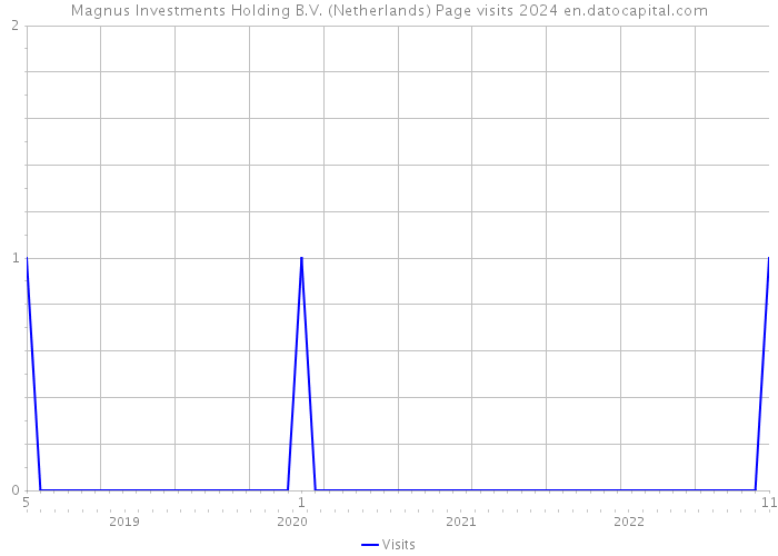 Magnus Investments Holding B.V. (Netherlands) Page visits 2024 