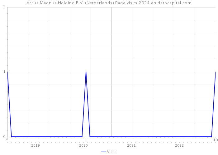 Arcus Magnus Holding B.V. (Netherlands) Page visits 2024 