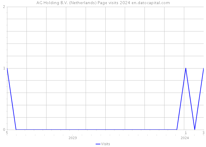 AG Holding B.V. (Netherlands) Page visits 2024 