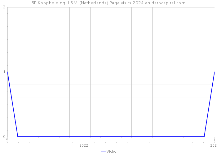 BP Koopholding II B.V. (Netherlands) Page visits 2024 
