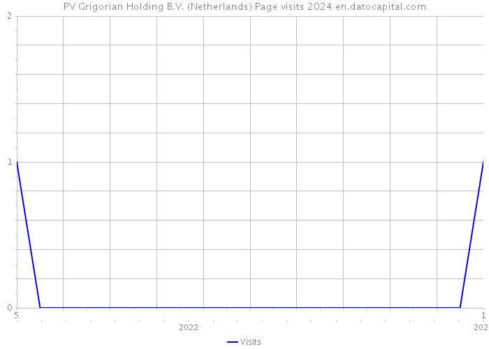 PV Grigorian Holding B.V. (Netherlands) Page visits 2024 