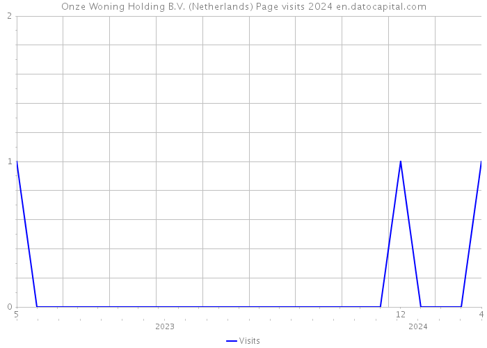 Onze Woning Holding B.V. (Netherlands) Page visits 2024 