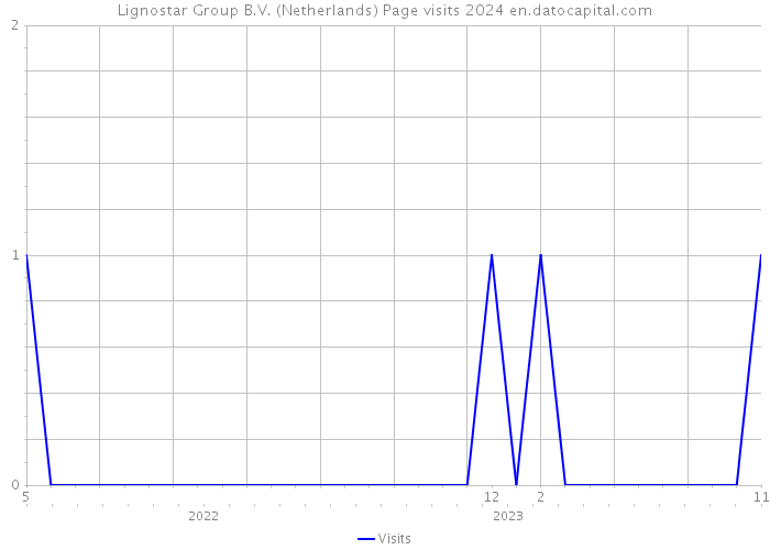 Lignostar Group B.V. (Netherlands) Page visits 2024 
