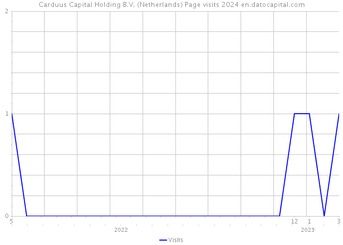 Carduus Capital Holding B.V. (Netherlands) Page visits 2024 