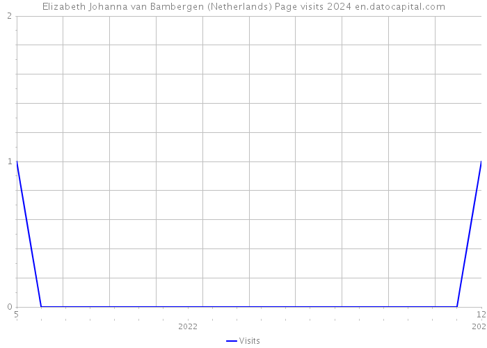Elizabeth Johanna van Bambergen (Netherlands) Page visits 2024 