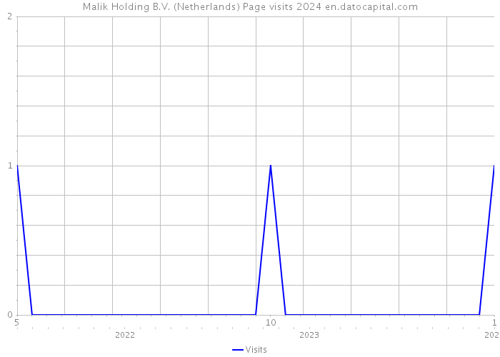 Malik Holding B.V. (Netherlands) Page visits 2024 