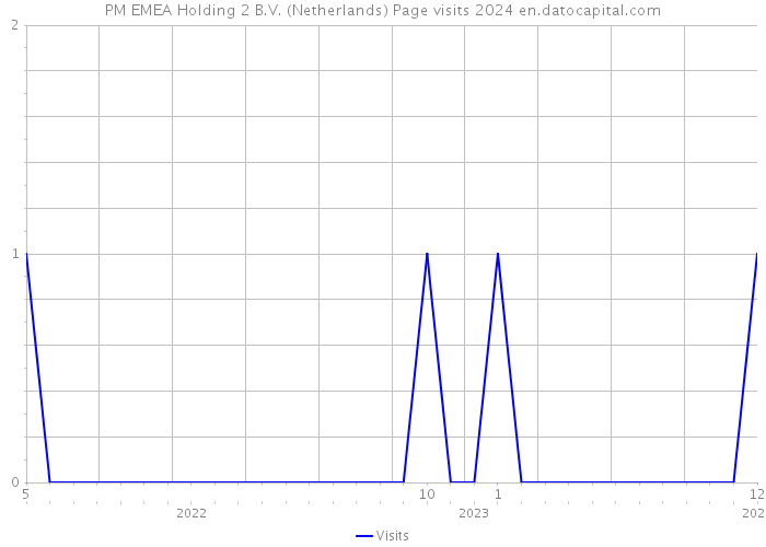 PM EMEA Holding 2 B.V. (Netherlands) Page visits 2024 
