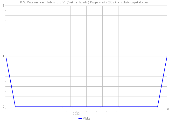 R.S. Wassenaar Holding B.V. (Netherlands) Page visits 2024 