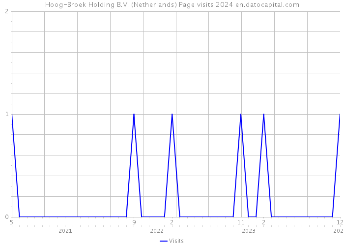 Hoog-Broek Holding B.V. (Netherlands) Page visits 2024 