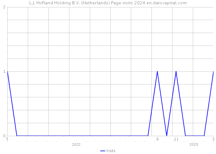 L.J. Hofland Holding B.V. (Netherlands) Page visits 2024 