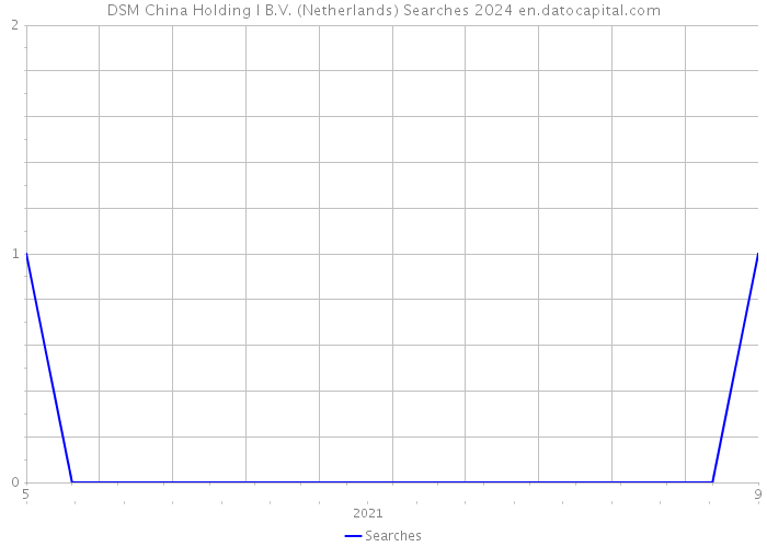 DSM China Holding I B.V. (Netherlands) Searches 2024 